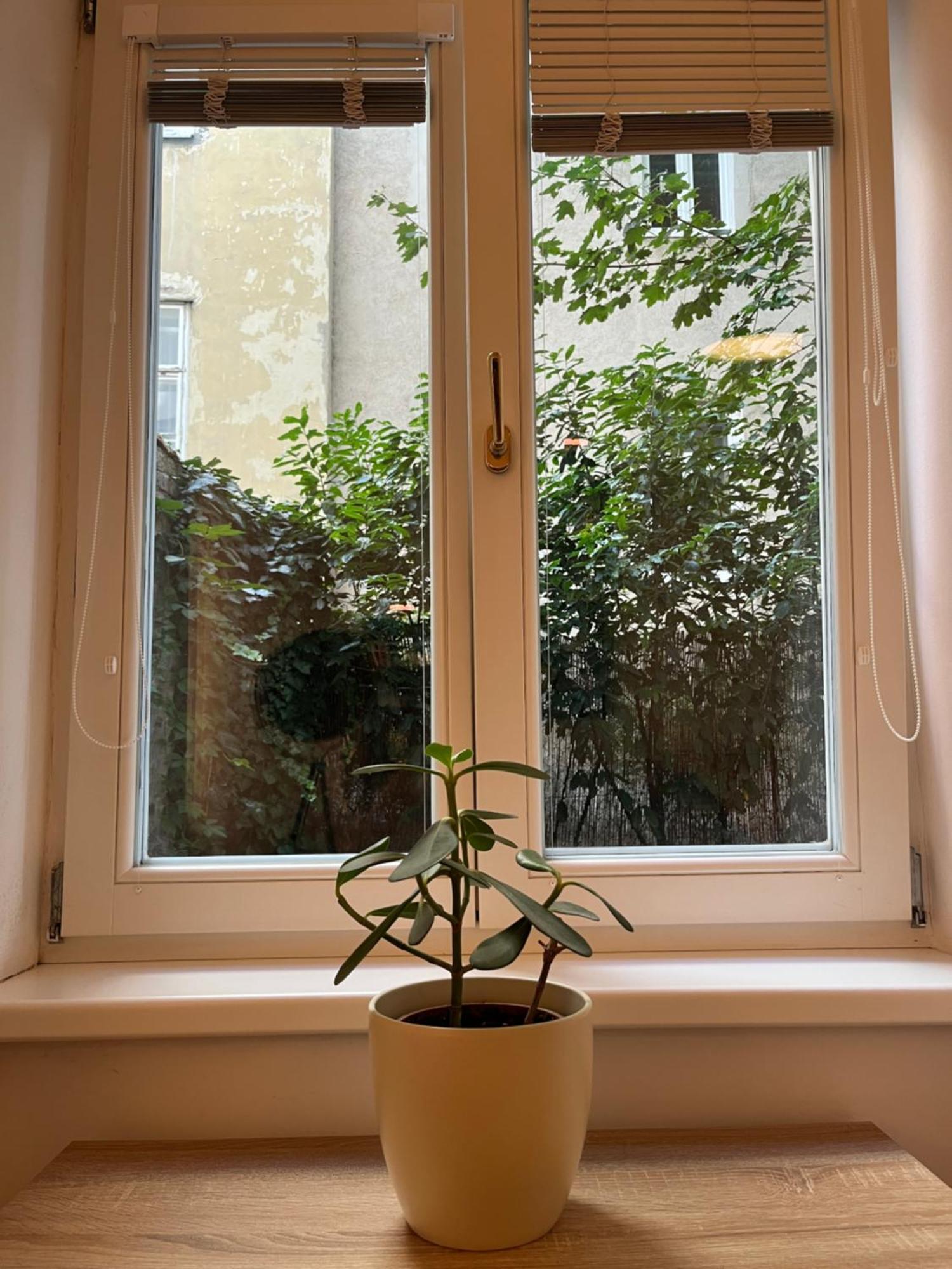 Quiet Apartment Next To Belvedere & Central Station Wien Eksteriør billede